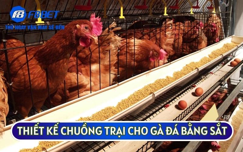 THIẾT KẾ CHUỒNG TRẠI CHO GÀ ĐÁ bằng sắt là sự lựa chọn phổ biến của nhiều sư kê