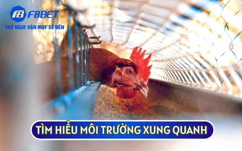 Trước tiên bạn sẽ cần tìm hiểu môi trường xem có phù hợp để THIẾT KẾ CHUỒNG TRẠI CHO GÀ ĐÁ hay không