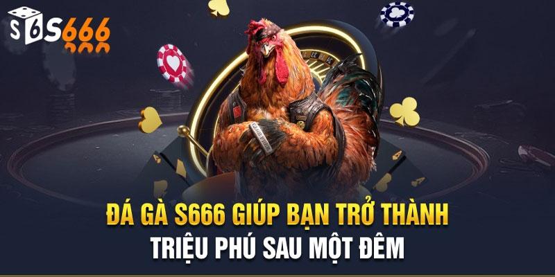 Lịch sử hình thành ĐÁ GÀ S66S